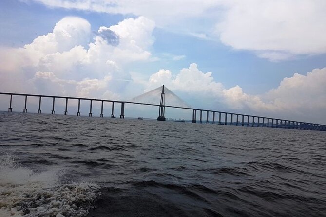 Walking Tours in Manaus - Cathedral and the route toward the port