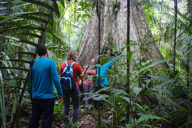 Welcome To the Jungle 5D/4N At Tapiri Rio Negro Lodge - The Tatuyos welcome and your first Amazon sunset