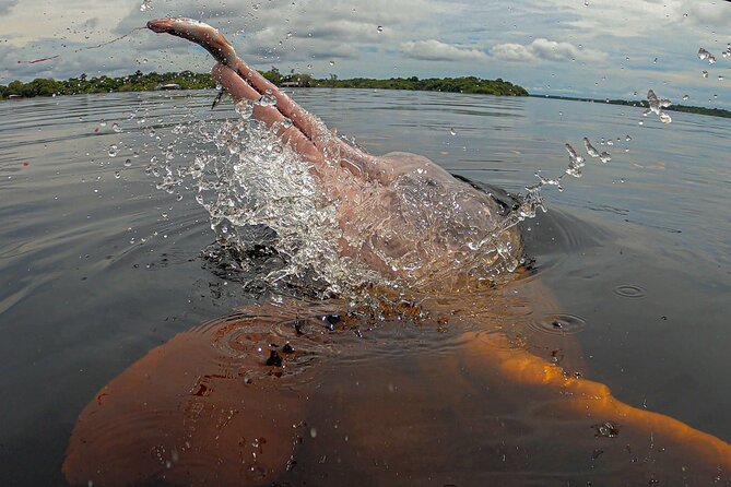 Welcome To the Jungle 5D/4N At Tapiri Rio Negro Lodge - Returning to Manaus before noon