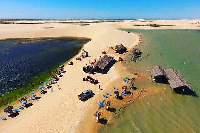 West Coast Tour / Tatajuba - Dry mangrove, seahorses, and the first quiet stop