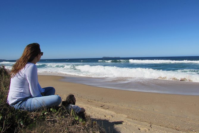Whale Watching – Whale watching from land - Imbituba: begin where the whales are