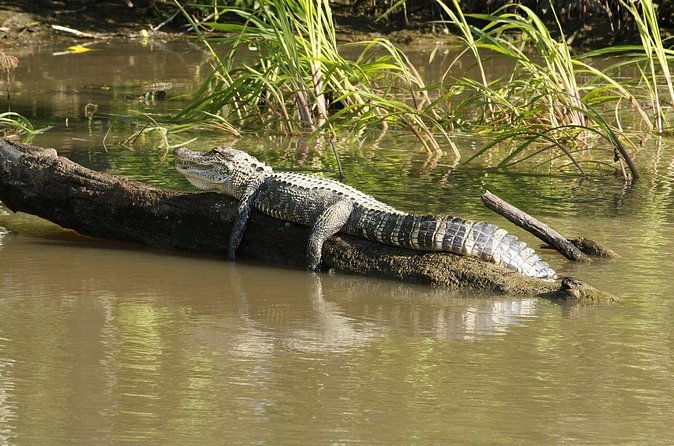 Wildlife Life Private Tour - Practical details before you reserve