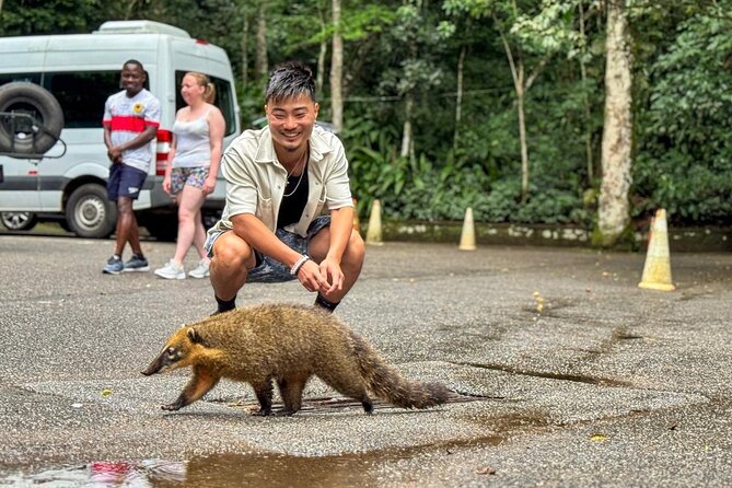 Wildlife viewing and excursion at Pedra Bonita. - Emperor’s Table offers a quieter forest viewpoint