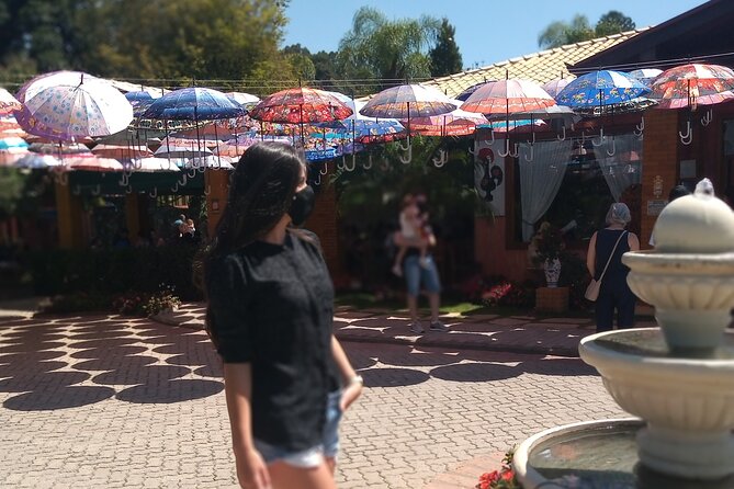 Wine Tour in São Roque by Car, Tour with Local Guides - What the Six-Hour Schedule Feels Like
