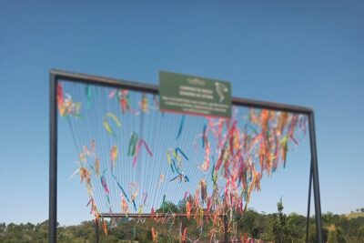 Wine Tour in São Roque by Car, Tour with Local Guides
